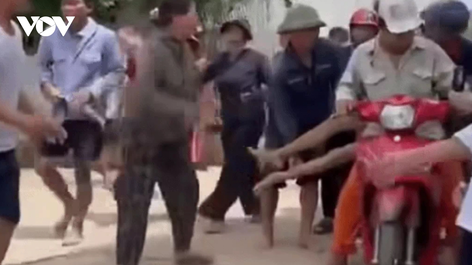 Bị ong đốt, người đàn ông tử vong trên đường đi cấp cứu